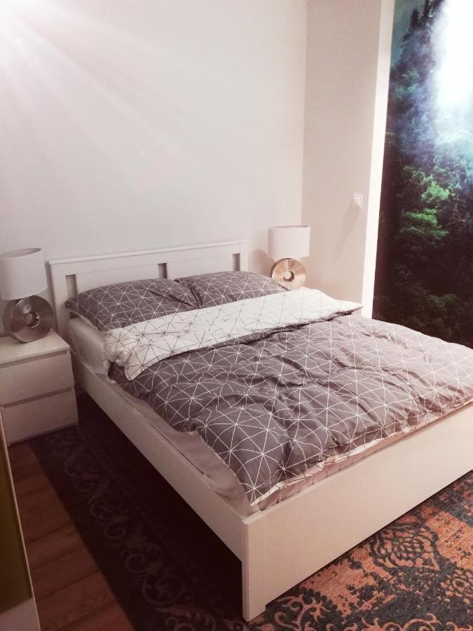 Apartamenty Przy Gimnazjalnej Bydgoszcz Exteriör bild